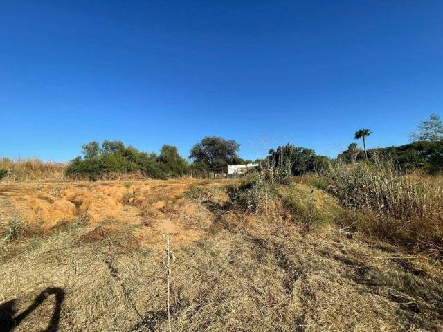 Terreno en venta en La Puebla Del Río, Andalucía