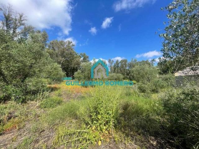 Terreno en venta en La Puebla Del Río, Andalucía