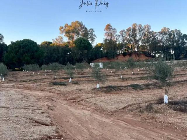 Terreno en venta en La Puebla Del Río, Andalucía