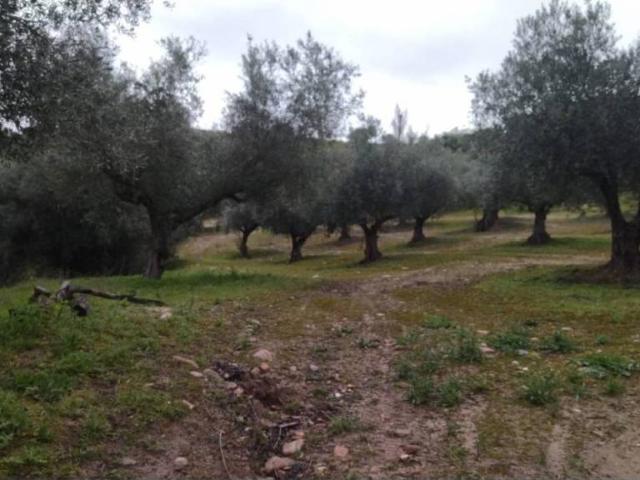 Terreno en venta en La Pueblanueva, Castilla-La Mancha