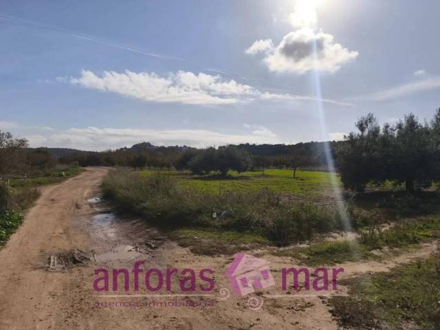 Terreno en venta en Tarragonès, Catalunya