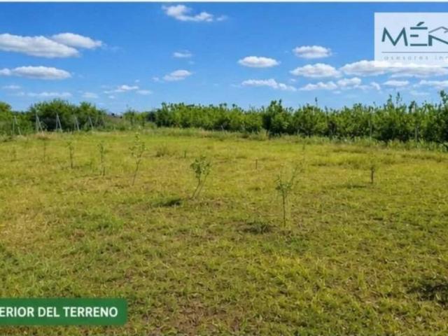 Terreno en venta en La Rinconada, Andalucía