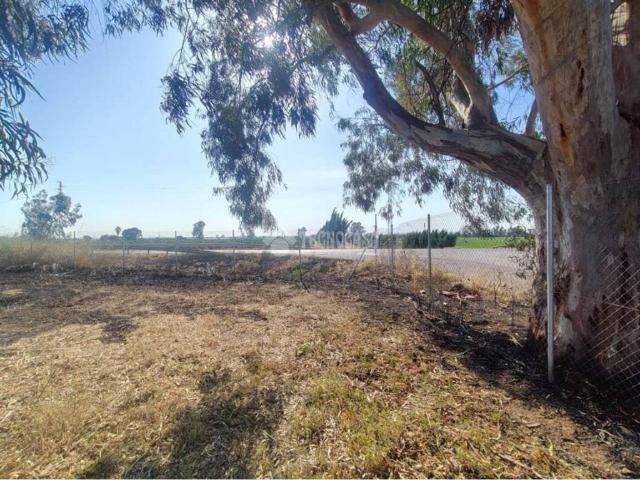 Terreno en venta en La Rinconada, Andalucía