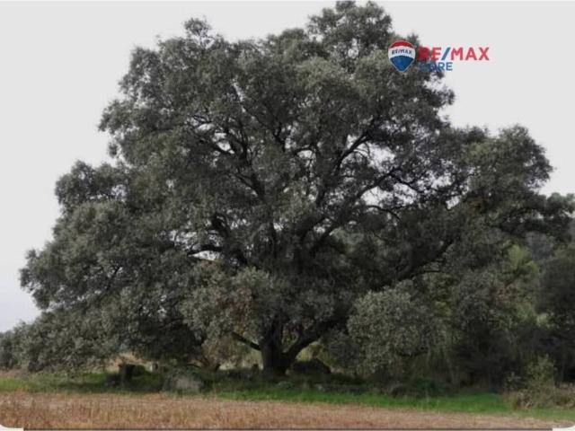 Terreno en venta en La Roca de la Sierra, Badajoz
