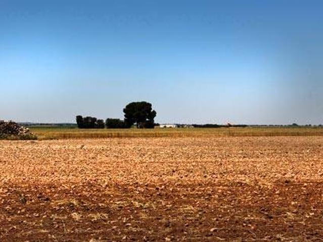Terreno en venta en La Roda, Castilla-La Mancha
