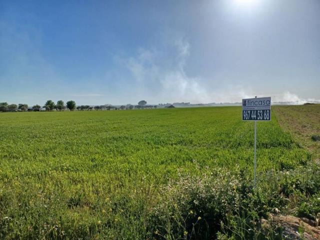 Terreno en venta en La Roda, Castilla-La Mancha