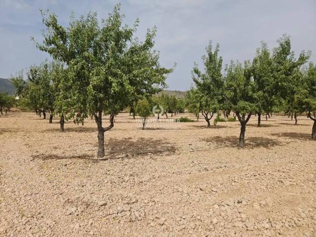 Terreno en venta en el Vinalopó Mitjà / El Vinalopó Medio, Valencia