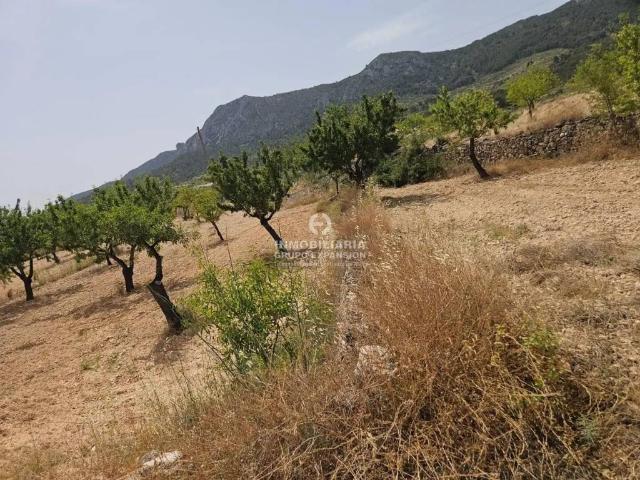 Terreno en venta en el Vinalopó Mitjà / El Vinalopó Medio, Valencia