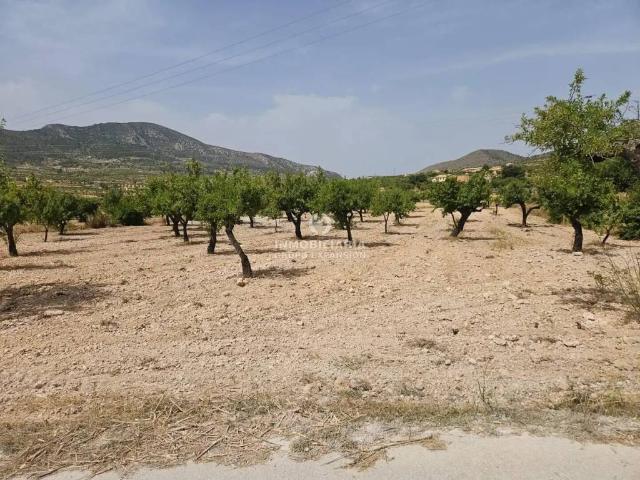 Terreno en venta en el Vinalopó Mitjà / El Vinalopó Medio, Valencia