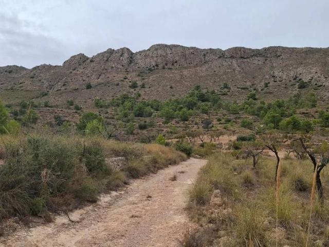 Terreno en venta en la Romana, Alacant / Alicante