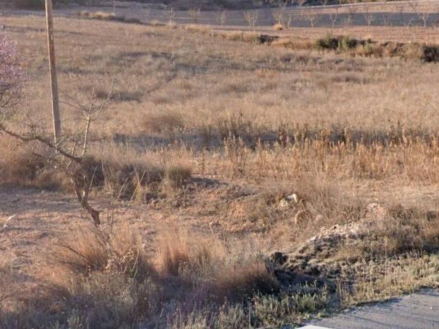 Terreno en venta en el Vinalopó Mitjà / El Vinalopó Medio, Valencia