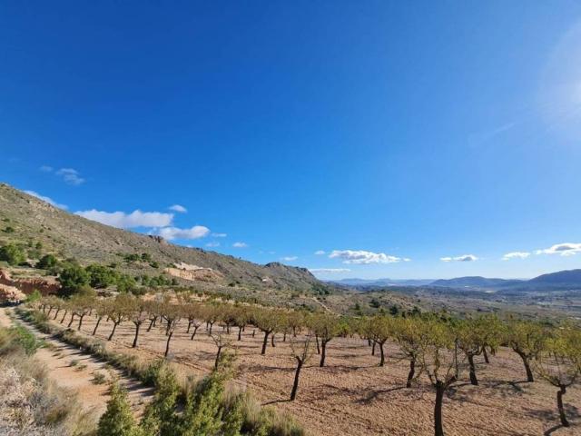 Terreno en venta en el Vinalopó Mitjà / El Vinalopó Medio, Valencia