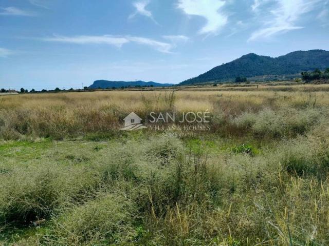 Terreno en venta en el Vinalopó Mitjà / El Vinalopó Medio, Valencia