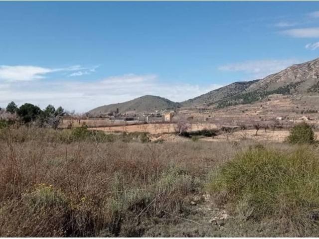 Terreno en venta en el Vinalopó Mitjà / El Vinalopó Medio, Valencia