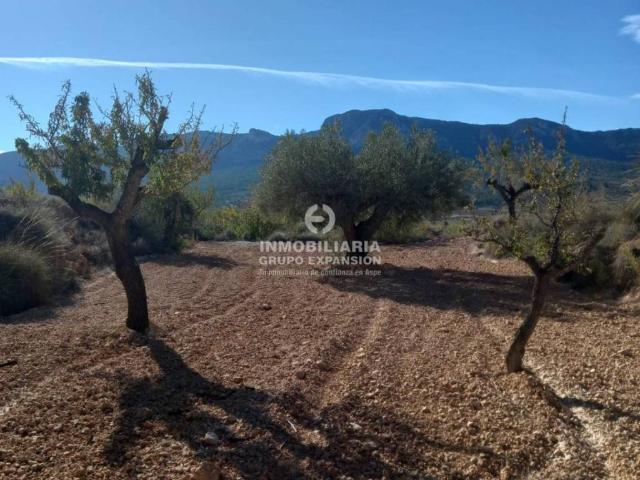 Terreno en venta en el Vinalopó Mitjà / El Vinalopó Medio, Valencia