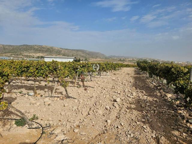 Terreno en venta en el Vinalopó Mitjà / El Vinalopó Medio, Valencia