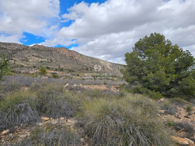 Terreno en venta en el Vinalopó Mitjà / El Vinalopó Medio, Valencia