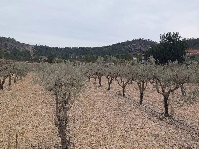 Terreno en venta en el Vinalopó Mitjà / El Vinalopó Medio, Valencia