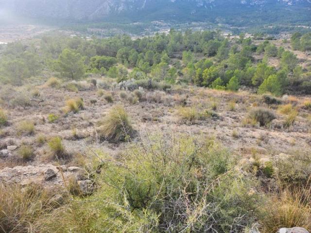 Terreno en venta en el Vinalopó Mitjà / El Vinalopó Medio, Valencia