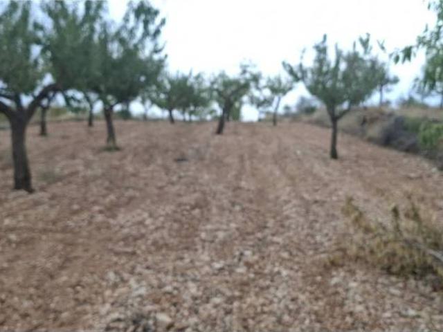 Terreno en venta en la Romana, Alacant / Alicante