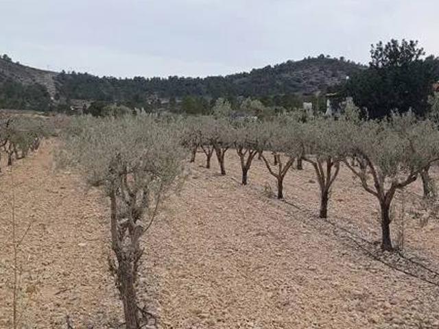 Terreno en venta en el Vinalopó Mitjà / El Vinalopó Medio, Valencia