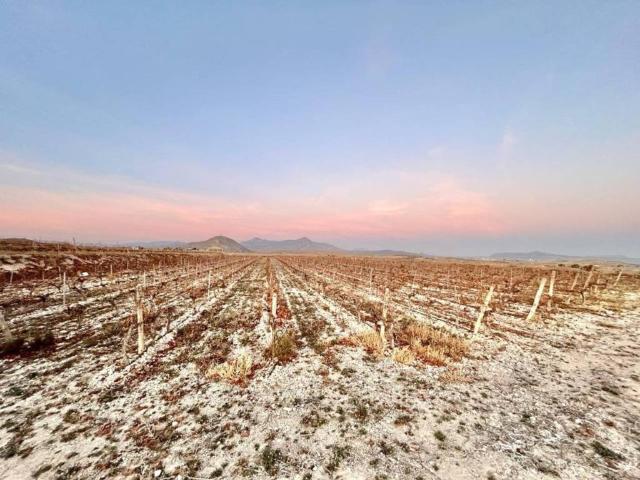 Terreno en venta en el Vinalopó Mitjà / El Vinalopó Medio, Valencia