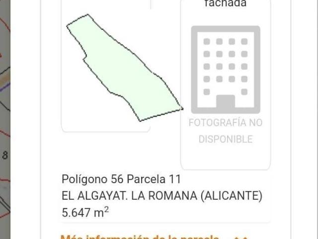 Terreno en venta en el Vinalopó Mitjà / El Vinalopó Medio, Valencia