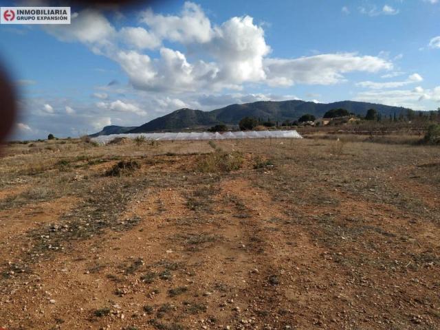 Terreno en venta en el Vinalopó Mitjà / El Vinalopó Medio, Valencia
