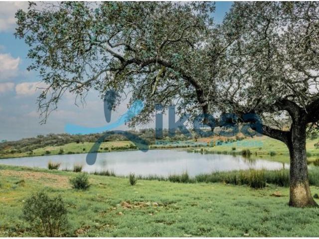 Local Comercial en venta en Las Herrerías, Puebla de Guzmán