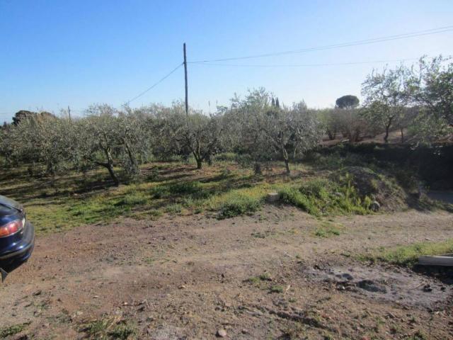 Terreno en venta en La Selva Del Camp