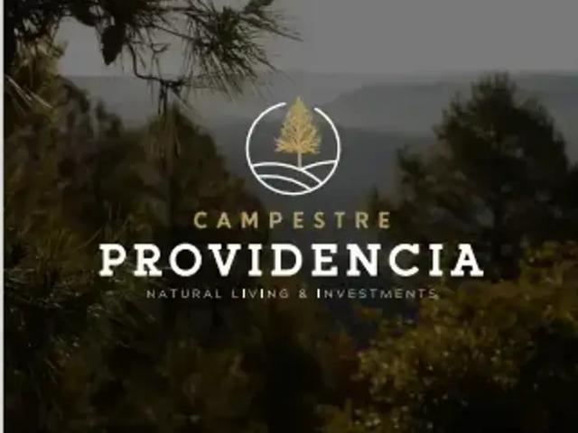 Terreno en venta en Pueblo Nuevo, Durango