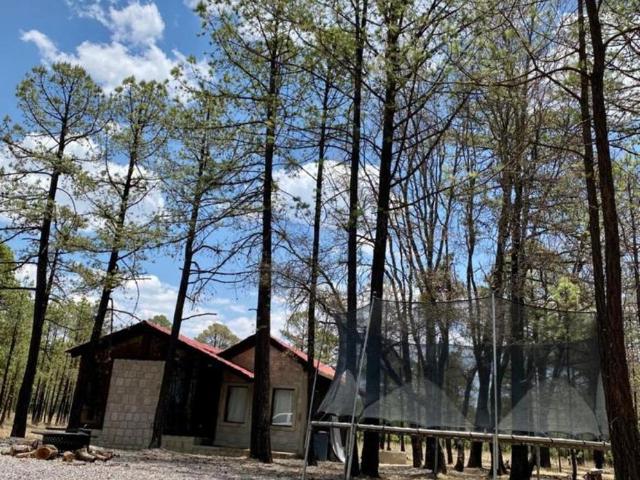 Terreno en venta en Pueblo Nuevo, Durango