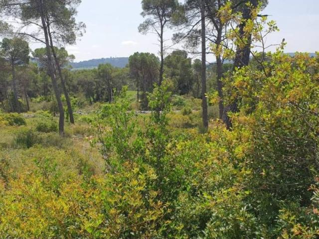 Terreno en venta en Anoia, Catalunya