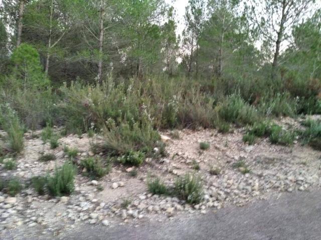 Terreno en venta en la Plana Alta, Valencia