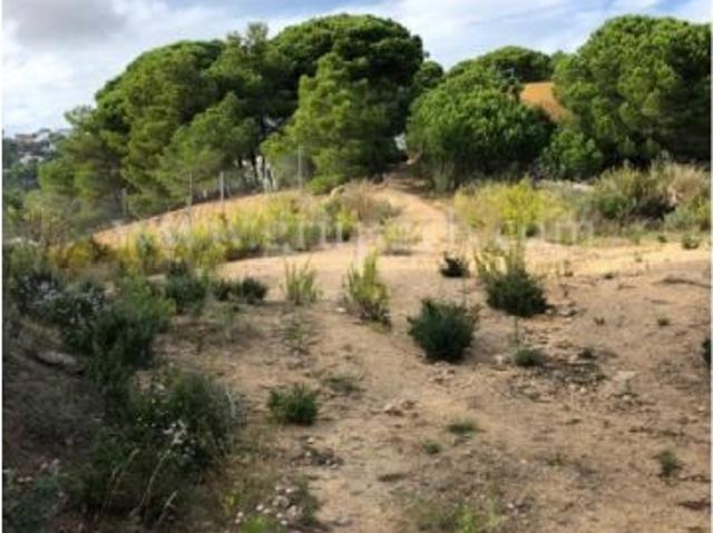 Local Comercial en venta en Serra Brava, la Selva