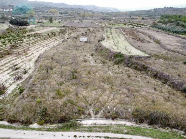 Terreno en venta en la Marina Alta, Valencia