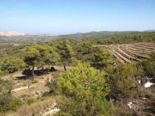 Terreno en venta en la Marina Alta, Valencia
