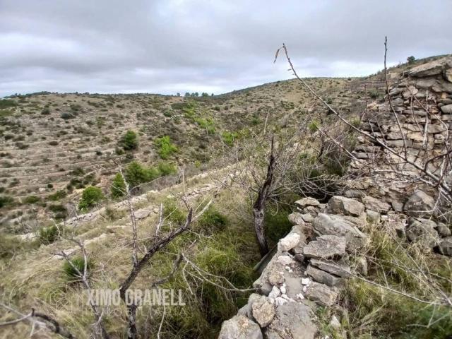 Terreno en venta en la Plana Baixa, Valencia