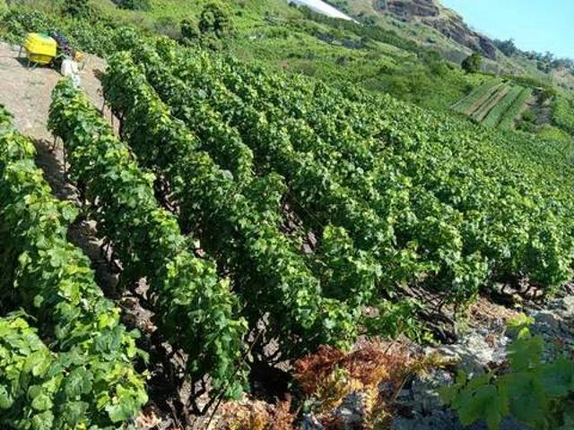 Terreno en venta en La Resbala, Canarias