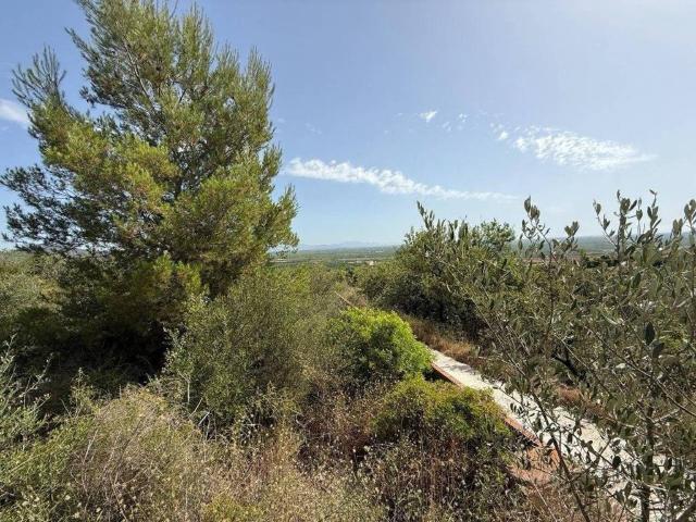 Terreno en venta en la Plana Baixa, Valencia
