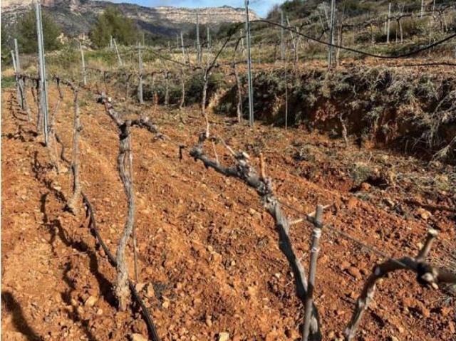 Terreno en venta en Priorat, Catalunya