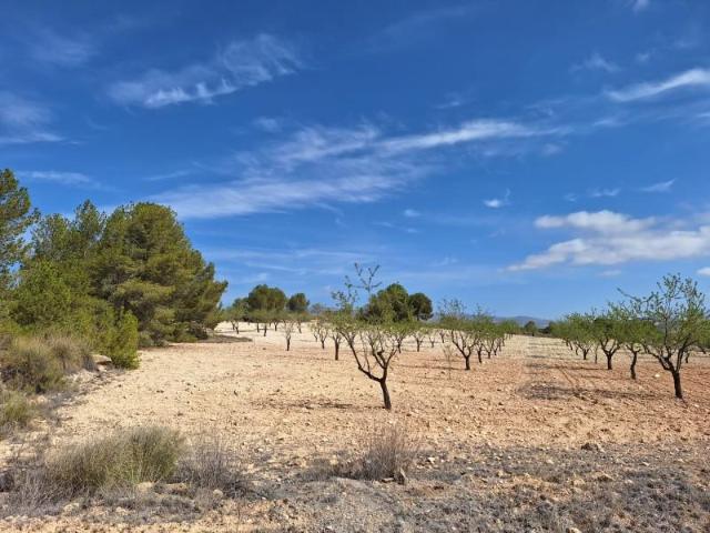 Terreno en venta en La Zarza, La Zarza