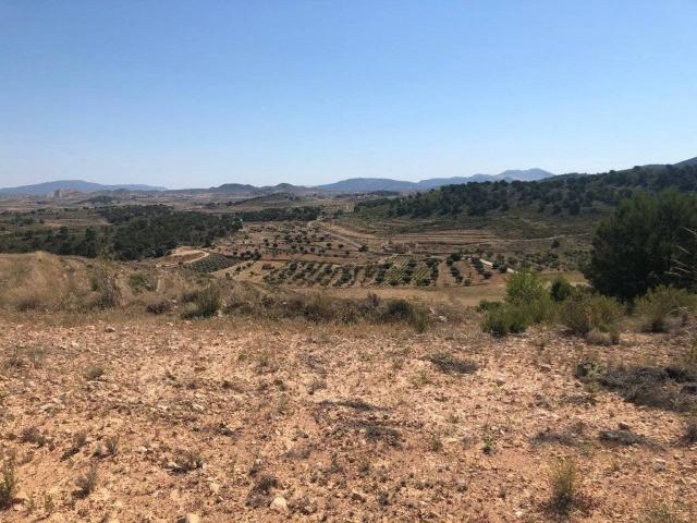 Terreno en venta en La Zarza, Extremadura