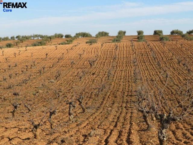 Terreno en venta en La Zarza, Extremadura