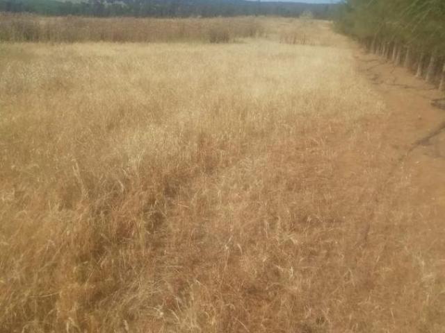 Terreno en venta en La Zarza