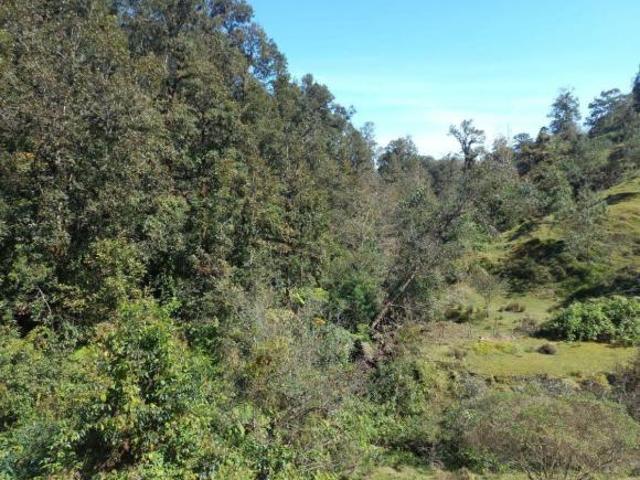 Terreno en venta en la zona de Teziutlán