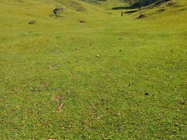 Terreno en venta en la zona de Teziutlán