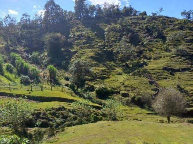 Terreno en venta en la zona de Teziutlán