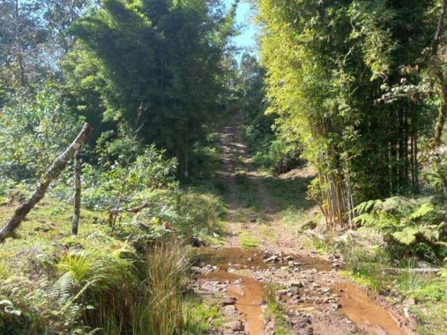 Terreno en venta en la zona de Teziutlán