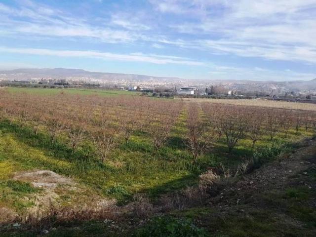 Terreno en venta en Comarca de la Vega de Granada, Andalucía